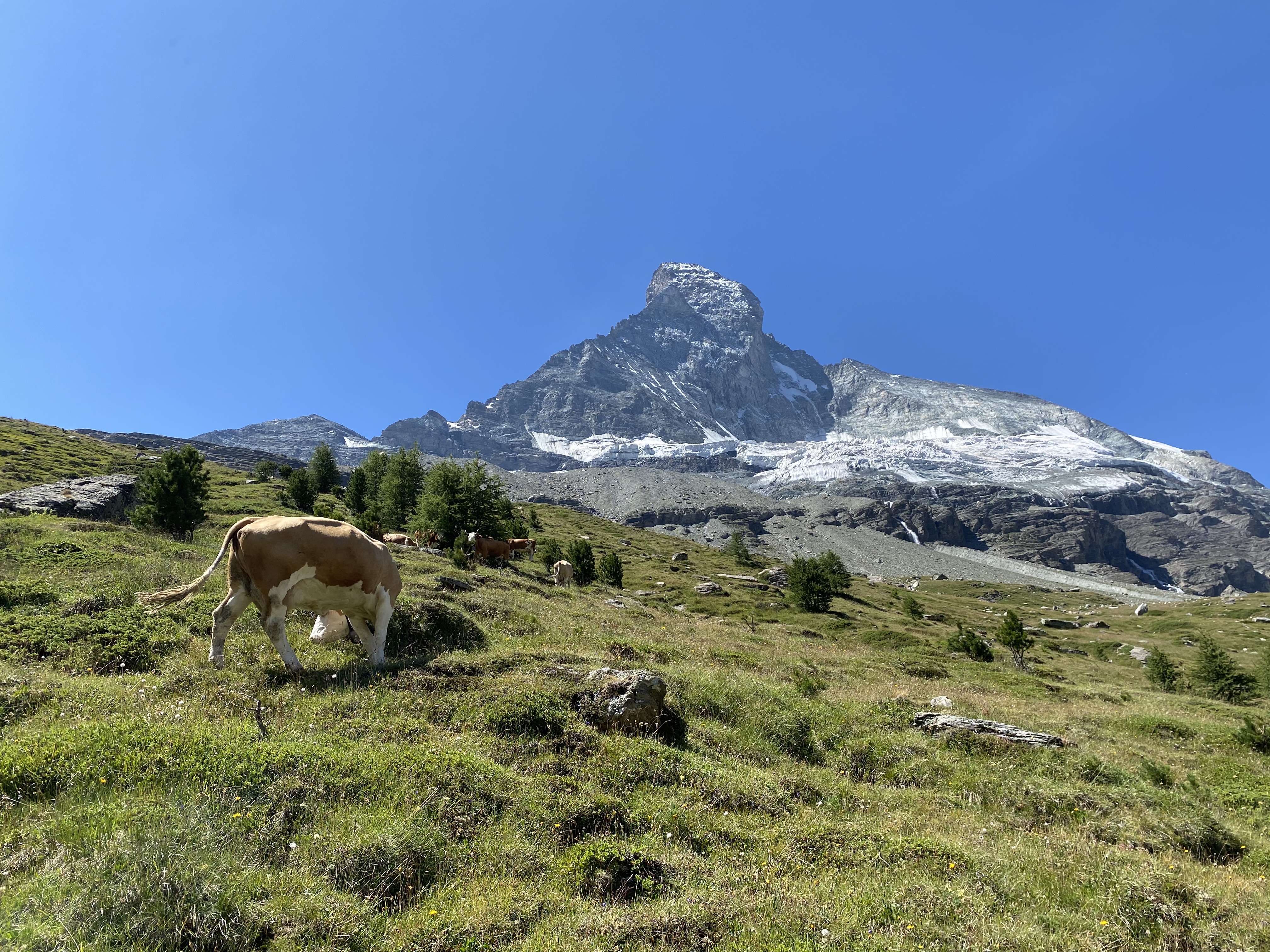 SWISS MOUNTAIN HEALING RETREAT